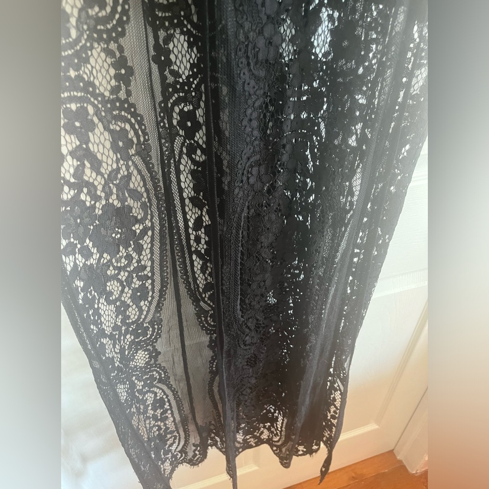 Sheer Lace Maxi Nighty Teddy Chemise Dress Longhorn Goth Whimsigoth witch Addams - Picture 7 of 10